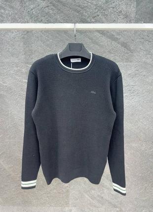 Мужской свитер lacoste