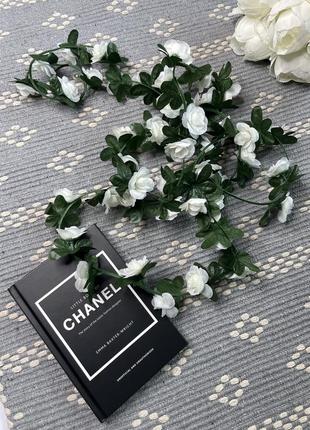 Декоративные цветы2 фото