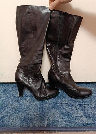 Кожаные сапоги осень