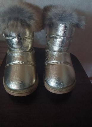 Бртики зима осень