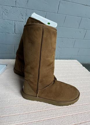 Ugg рыжие оригинал