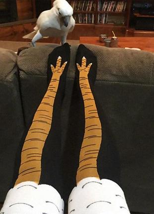 Забавные женские носки