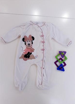 Чоловічок оксамитовий