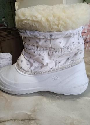 Женские сапоги