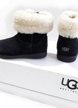 Зимние сапожки замша ugg