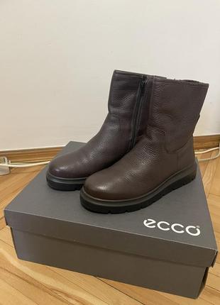 Ecco nouvelle сапоги чоботи зимові