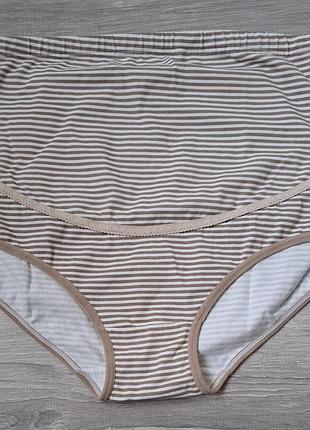 Трусики большого размера (2ш)