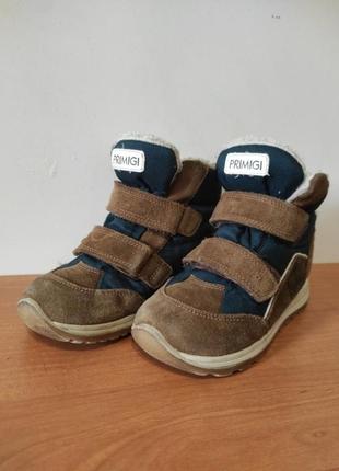 Зимові чоботи primigi