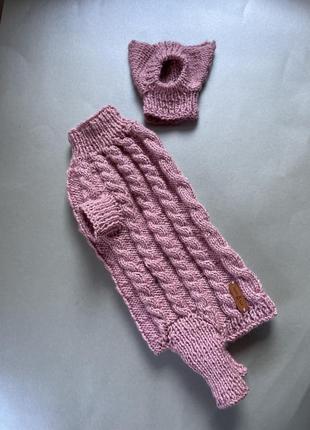 Одяг для тварин стиль для маленьких лапок