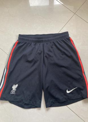 Джерси шорты nike liverpool