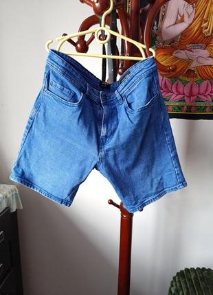 Шорти чоловічі