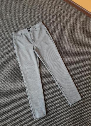 Брюки гусиная лапка