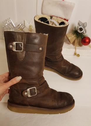 Теплые оригинальные сапоги угги ugg на овчине с ремешками 38р