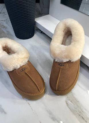 Угги на платформі угг