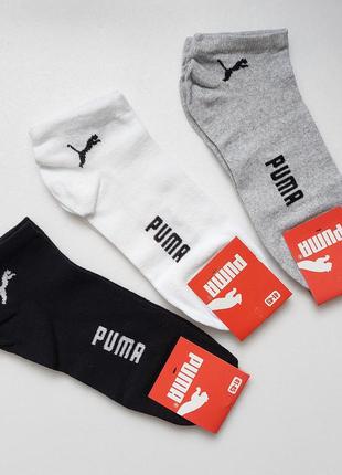 6 пар шкарпетки чоловічі "puma". 41-45р. короткі, демісезонні.