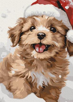 Картина за номерами засніжене цуценя