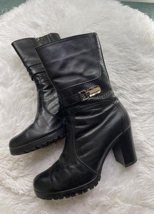 Vera gomma черные сапожки весна осень кожаные женские с золотой металлической вставкой
