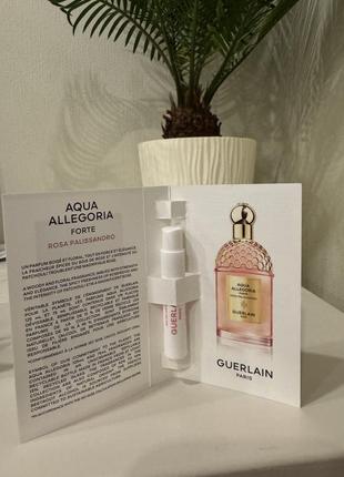 Guerlain rosa palissandro forte