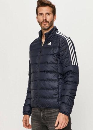 Чоловічий пуховик