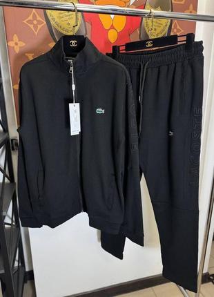 Мужской костюм lacoste | костюм лакоста | спортивный костюм лакоста | мужской спортивный костюм лакоста