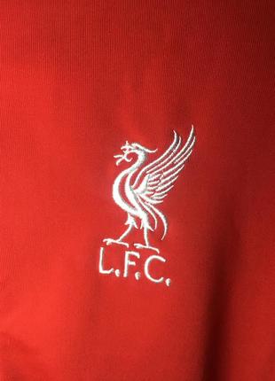 Реглан мужской