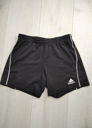Шорти adidas