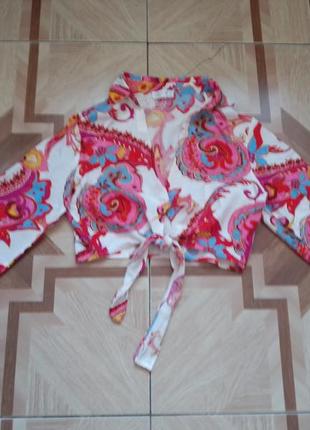 Топ с длинным рукавом, блуза, кофта от primark