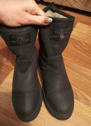 Чоботи розмір 39
