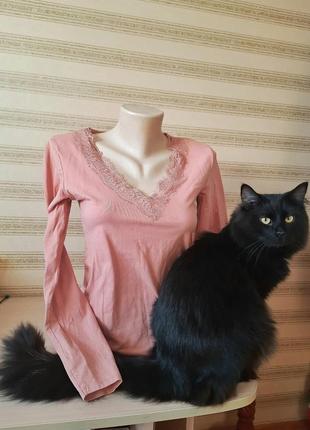 Котоновий боді