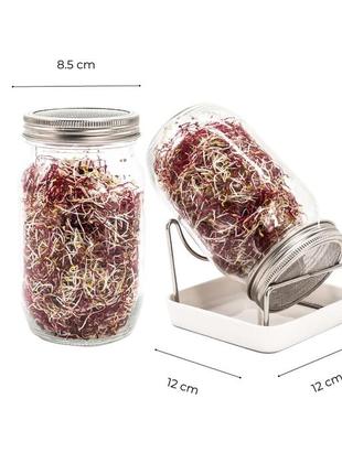 Набор банок для прорастания, проращивания prout jar