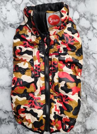 Курточка, жилетка, дождевик, для собак diego