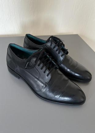 Дуже класні чоловічі туфлі ted baker, дерби, оксфорды, чоловічі шкіряні туфлі,