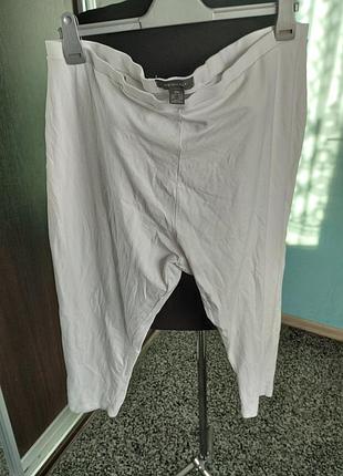 Бріджі лосіни