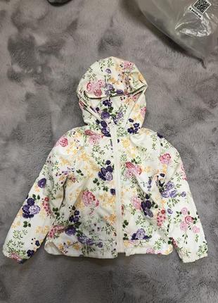 Вітровка zara.