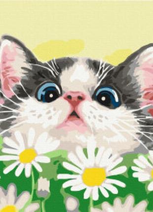 Картина за номерами котик в ромашках