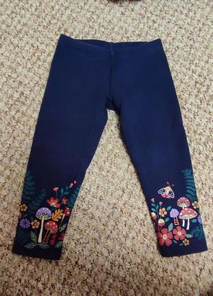 Штани на флісі