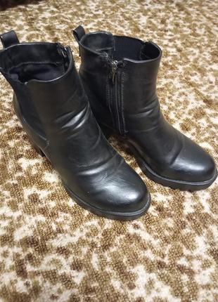 Сапоги женские