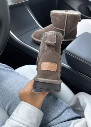 Угги уггі угг ugg mini6 фото