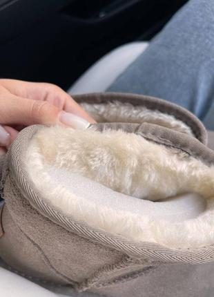 Угги уггі угг Amp ugg mini7 фото