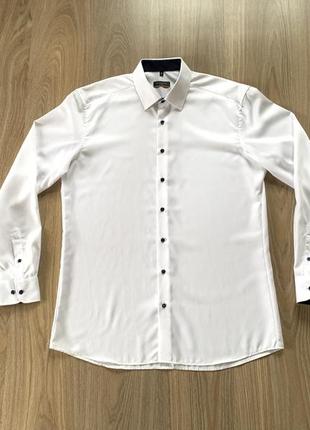 Мужская хлопковая рубашка eterna