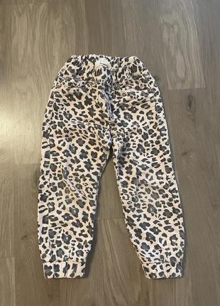 Штани  h&m в леопардовому принті