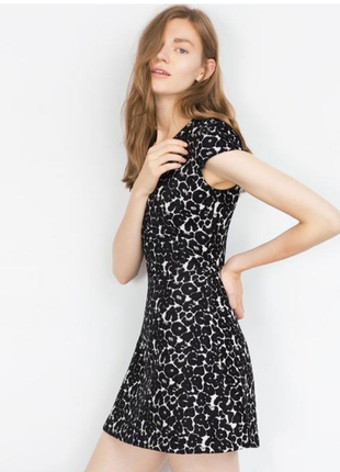 Сукня zara