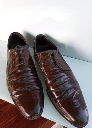 Шкіряні туфлі міда