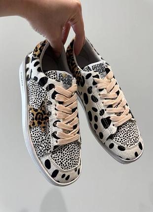 Кеди