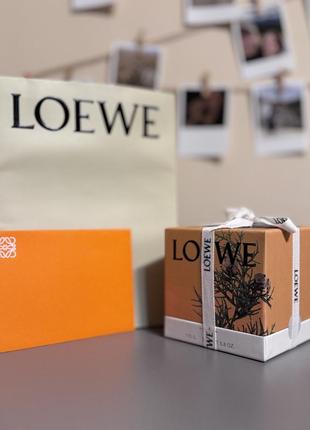 Свеча loewe “juniper berry”