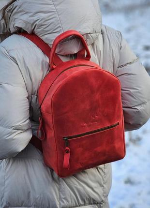 Рюкзак bp_10_red