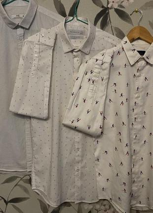 Сорочки чоловічі