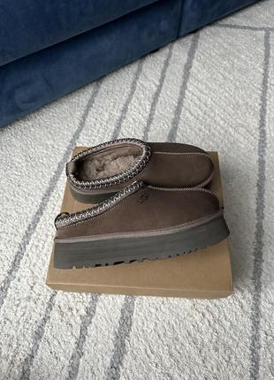 ugg Pcd tazz угги шоколадные
