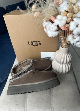ugg Pcd tazz угги шоколадные