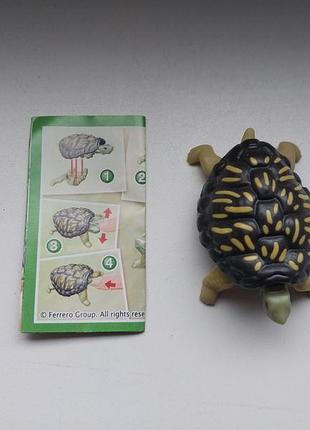 Kinder surprise natoons киндер сюрприз натунс фигурка черепаха игрушки из киндеров фигурки животные